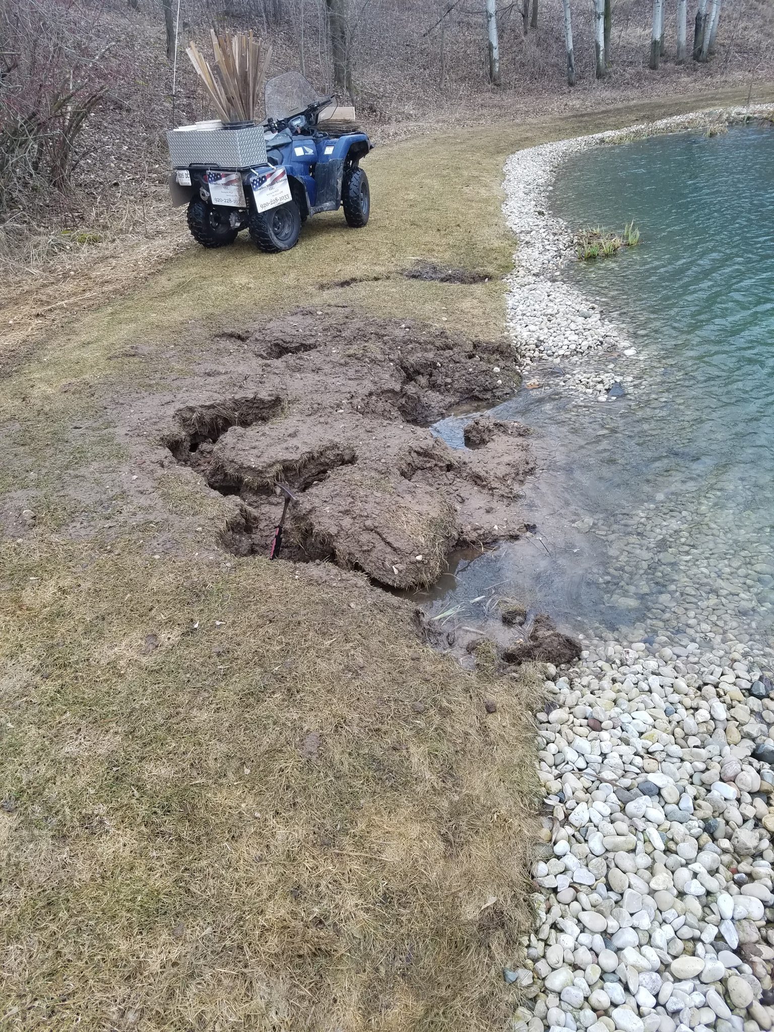 Muskrat Damage to Shorelines. Suburban Wildlife Solutions, LLC